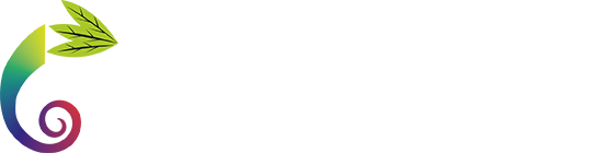 Bukalemun Promosyon